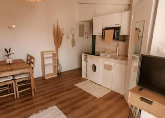 Apartamento T2 Climatise Et Cosy Agde